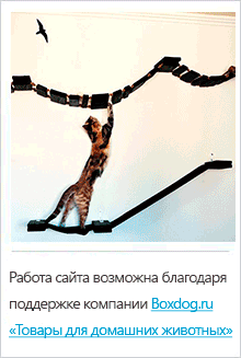Boxdog.ru - Товары для домашних животных