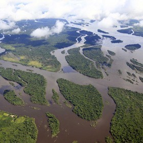 Разветвленная река с большим количеством протоков и островов